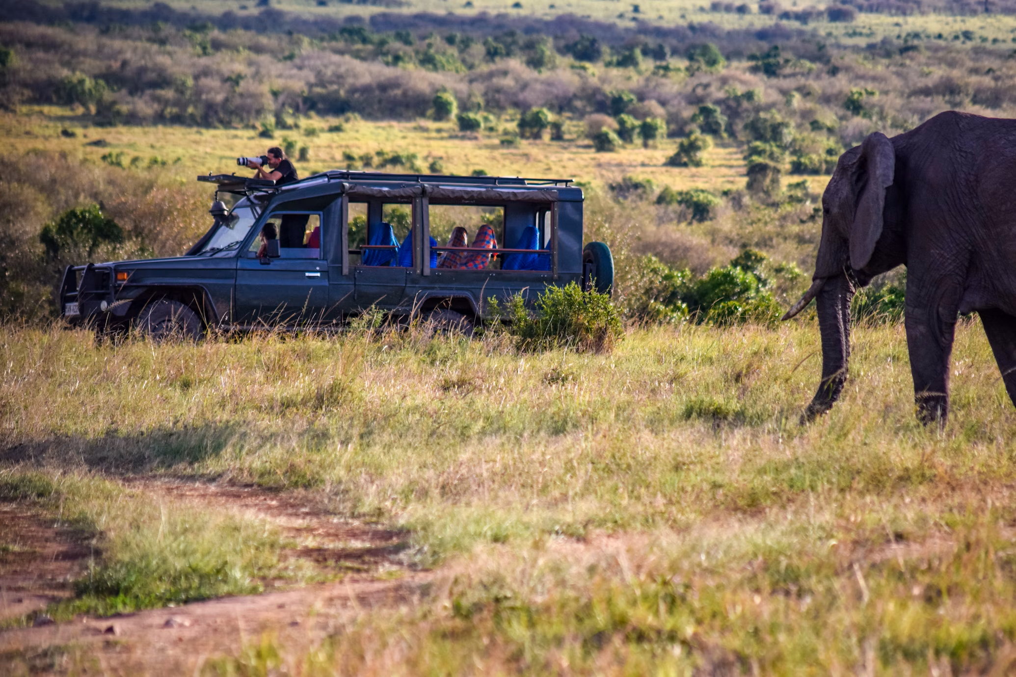 Serengeti Camp Bottom Image